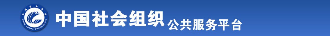 日入逼操全国社会组织信息查询